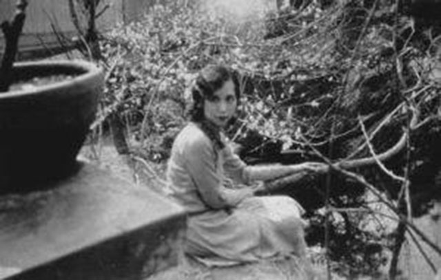 张爱玲赖雅婚姻维持了几年,张爱玲与赖雅结婚了吗