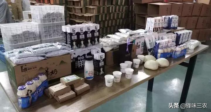 探秘山东最大羊奶厂！羊奶到底有没有膻味？