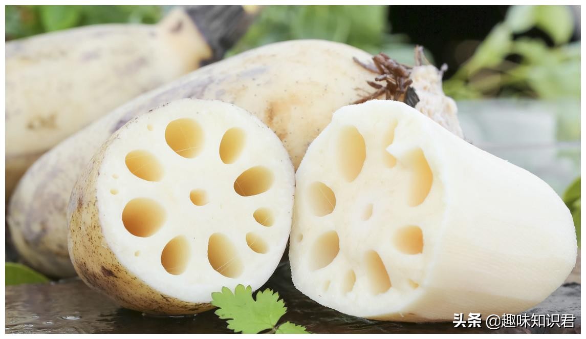 世界100个奇葩冷知识,世界上真的有趣的冷知识