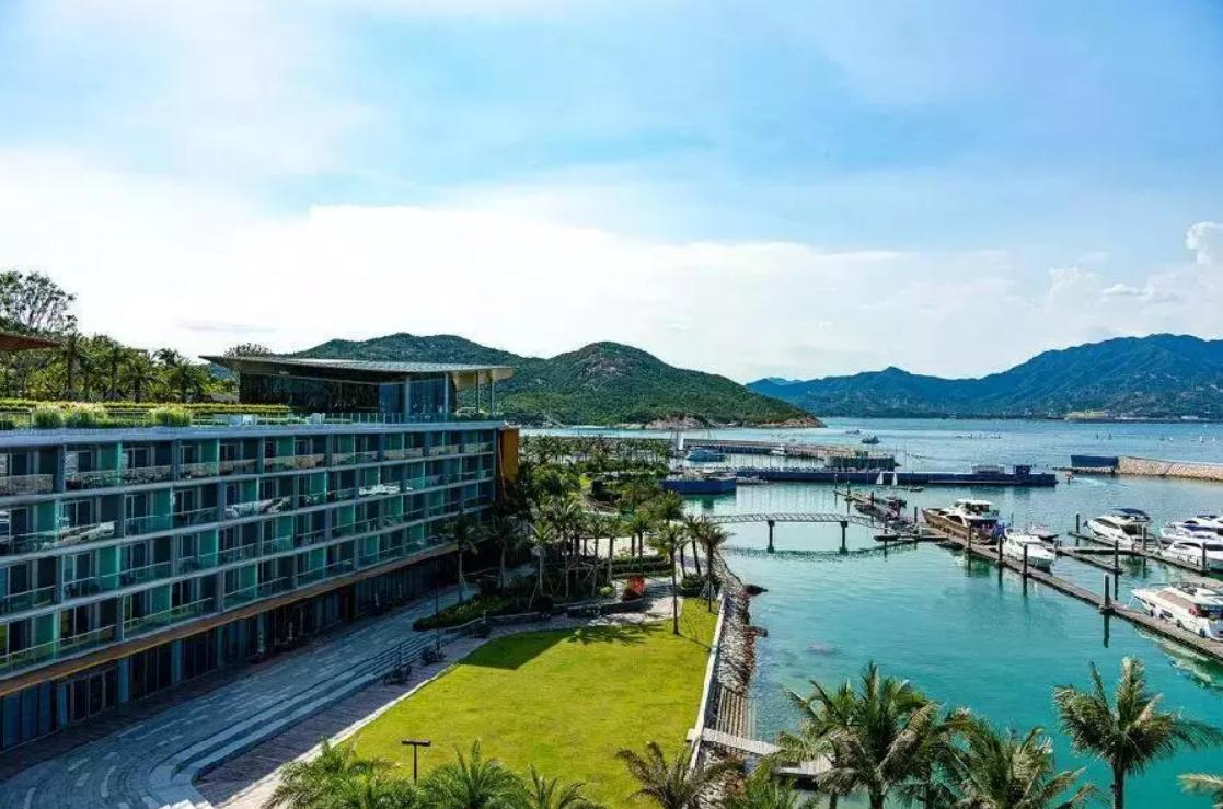 发现深圳红树林之美,发现小众风景点