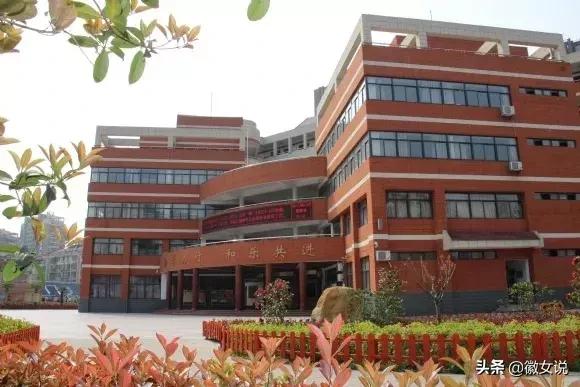 合肥优质小学排名,合肥小学排名100强一览表