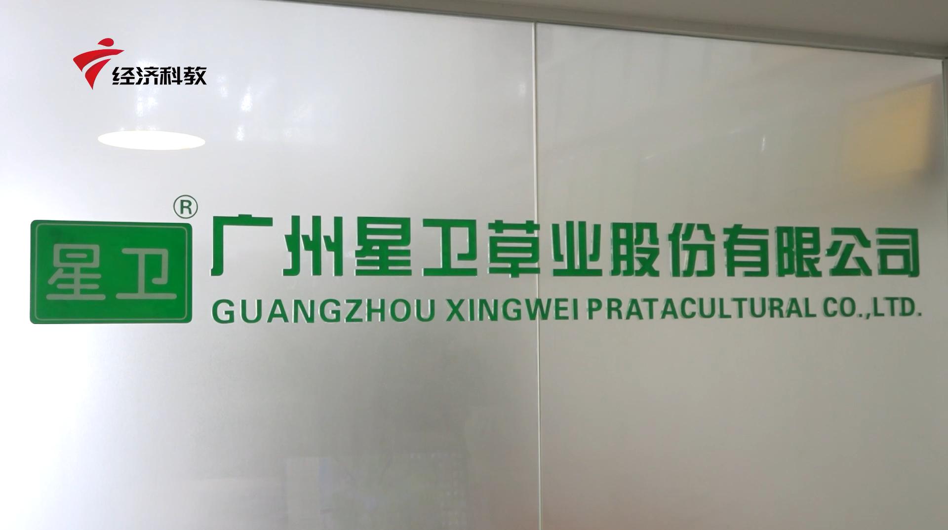 广东新焦点最新视频,广州星卫草业股份有限公司怎么样