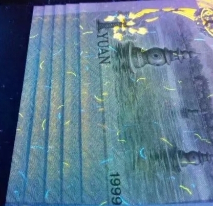 991大叶兰的闪光点