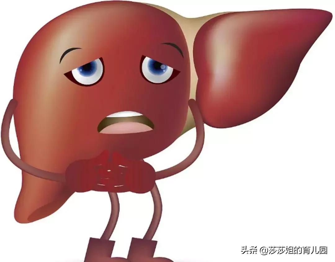 养心养肝护肾的方法,疏肝养心润肺药