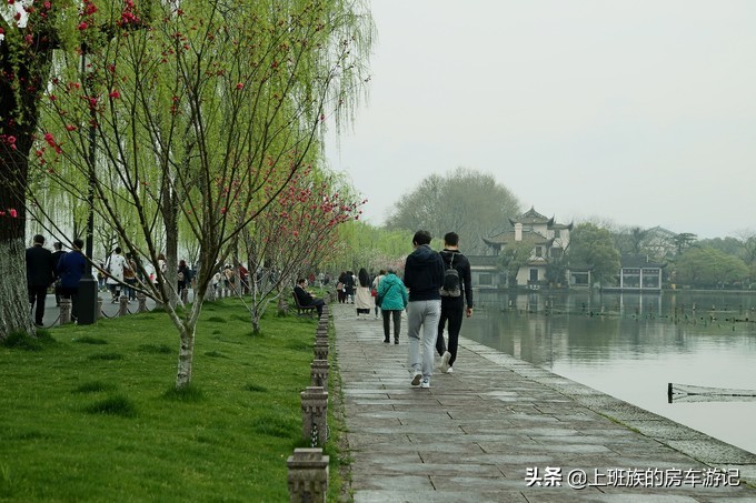 周末微旅行：秦望山麓访名校，白沙堤岸醉桃柳（第二季）