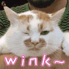 洗衣洗出霉菌？拆开洗衣机后才发现问题