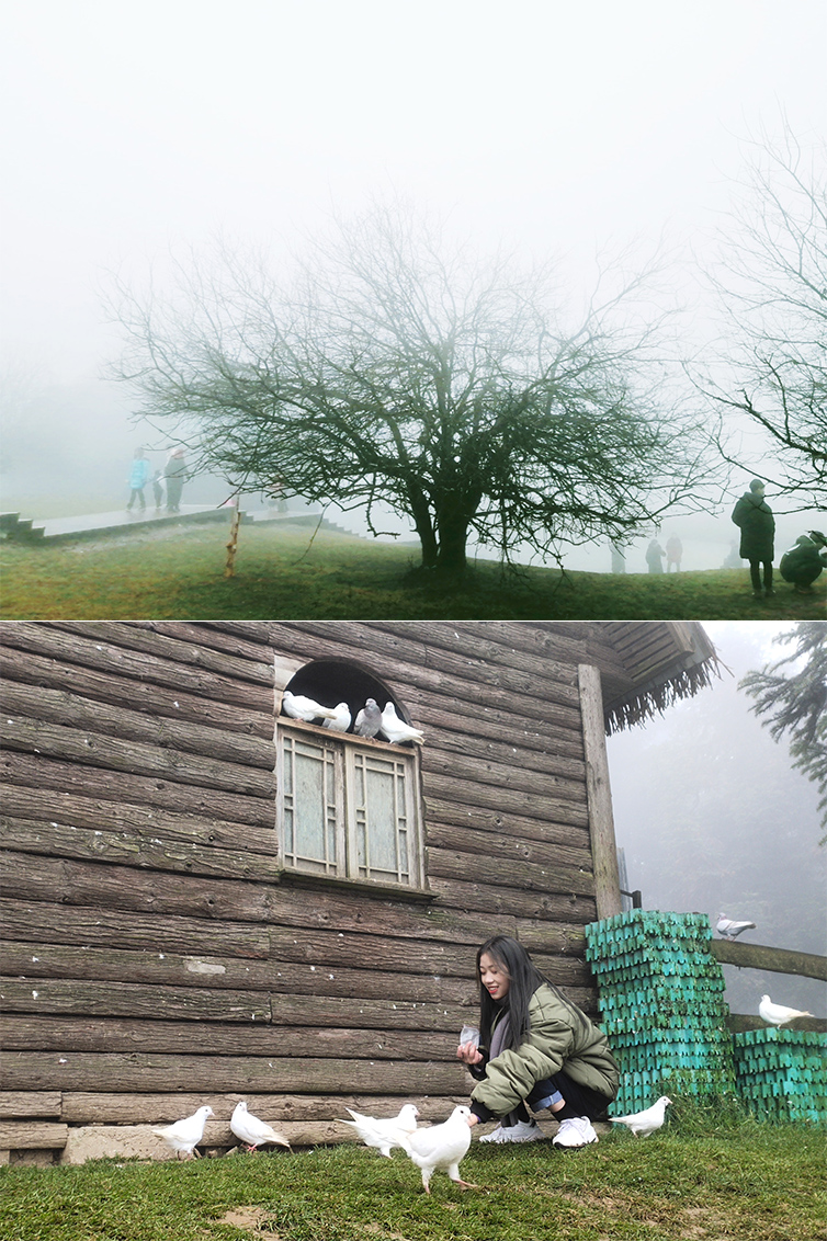 武隆仙女山和天坑两日游,重庆武隆仙女山2日游