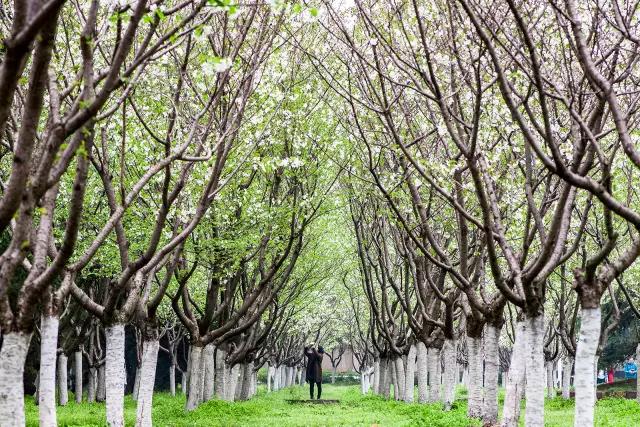 神仙颜值学校,神仙颜值校园
