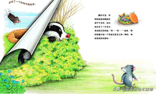 绘本故事獾的美餐教案,绘本故事獾的美餐开头素材