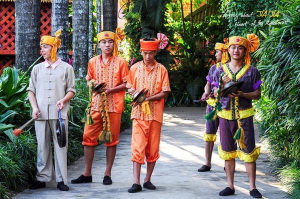 在西双版纳,做了一回“猫哆哩”