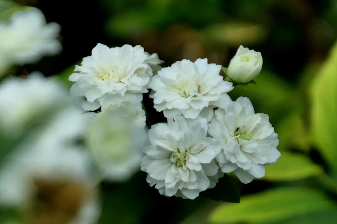 徕卡便携相机的lux7,徕卡便携款价格表