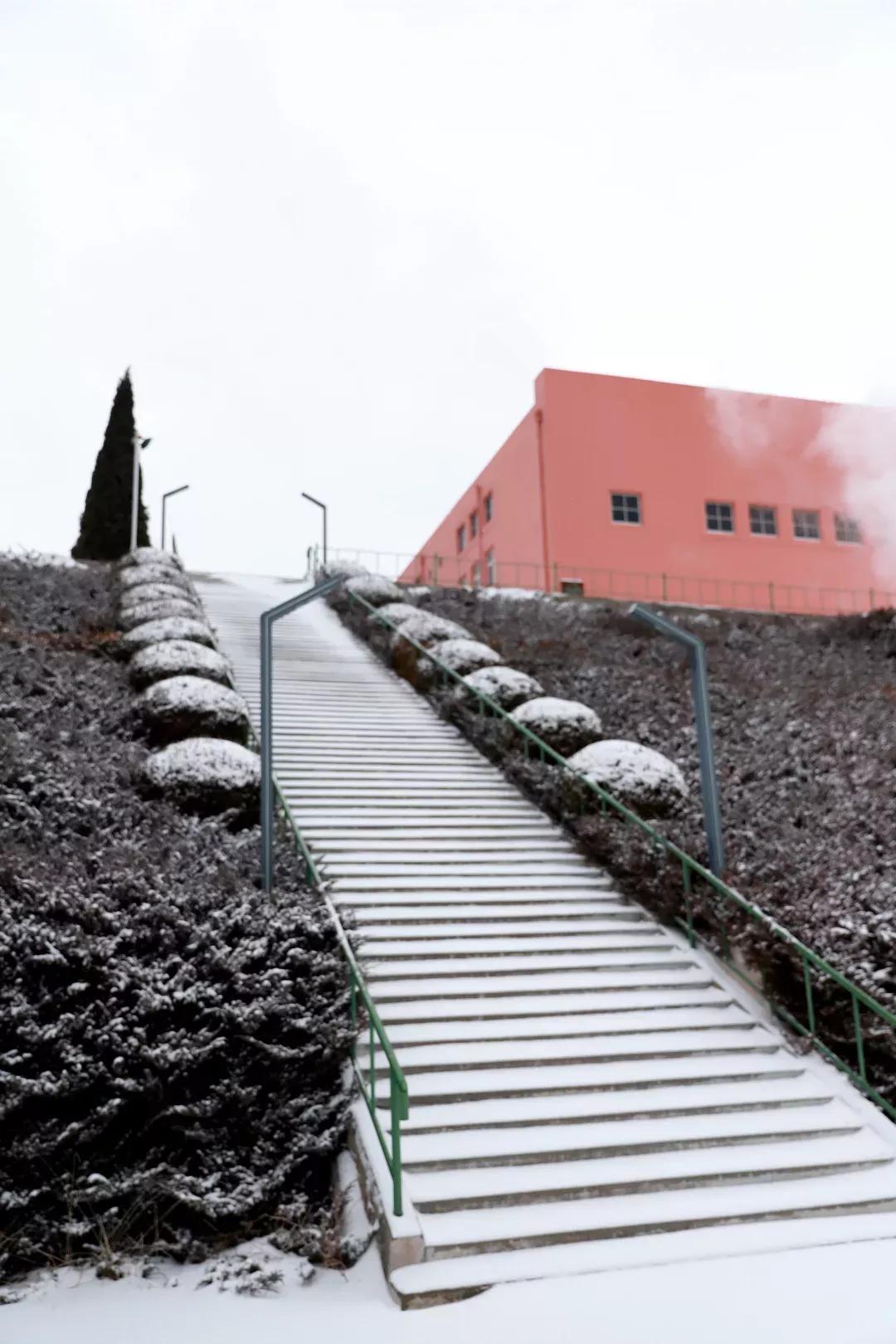 民办学校大连艺术学院全国排名,大连艺术学院辽宁排名