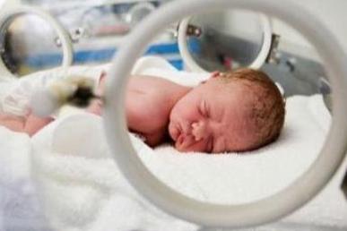 2斤早产儿智力发育,早产儿有脑损伤会影响智力发育吗