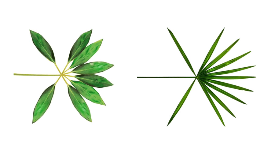 exologo标志2019,exologo刺绣