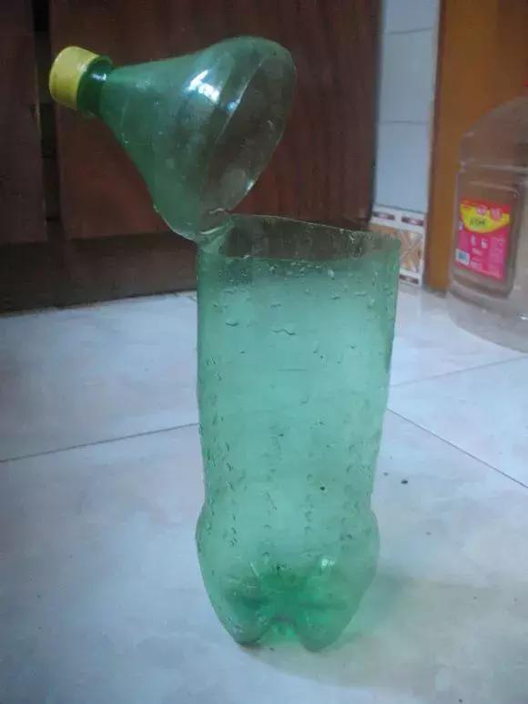 大水瓶扦插生根神器,室内用塑料瓶扦插生根最快方法