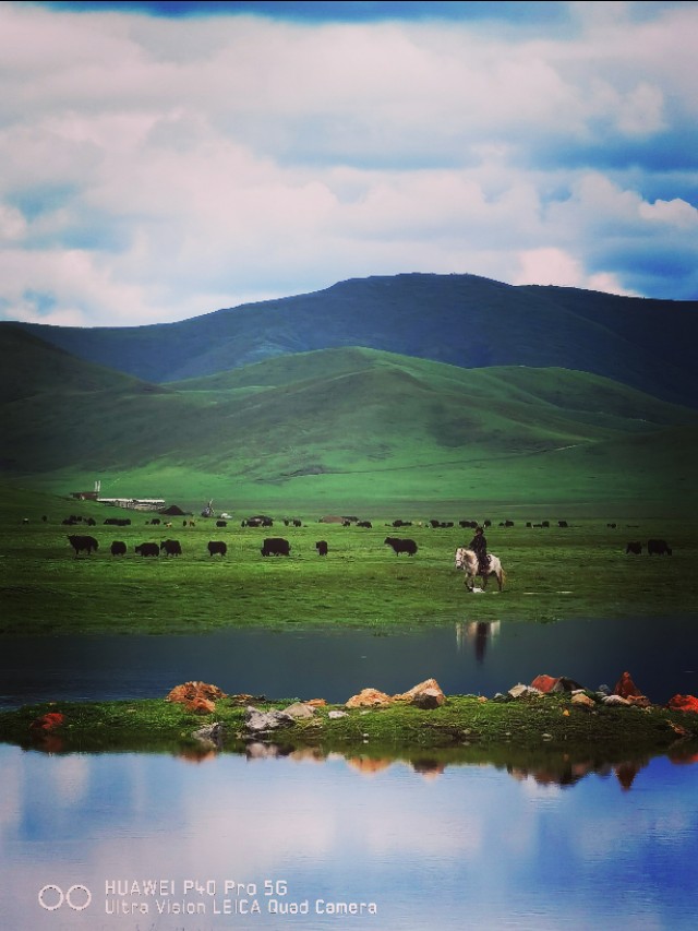 一条绝美草原之路,一条绝美的自驾公路