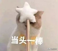 7600元的登机箱假货,网上买行李箱有假货吗