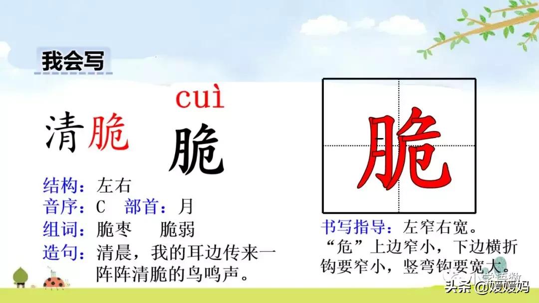 六年级下册语文表里的生物朗诵,六年级下册表里的生物小练笔400字