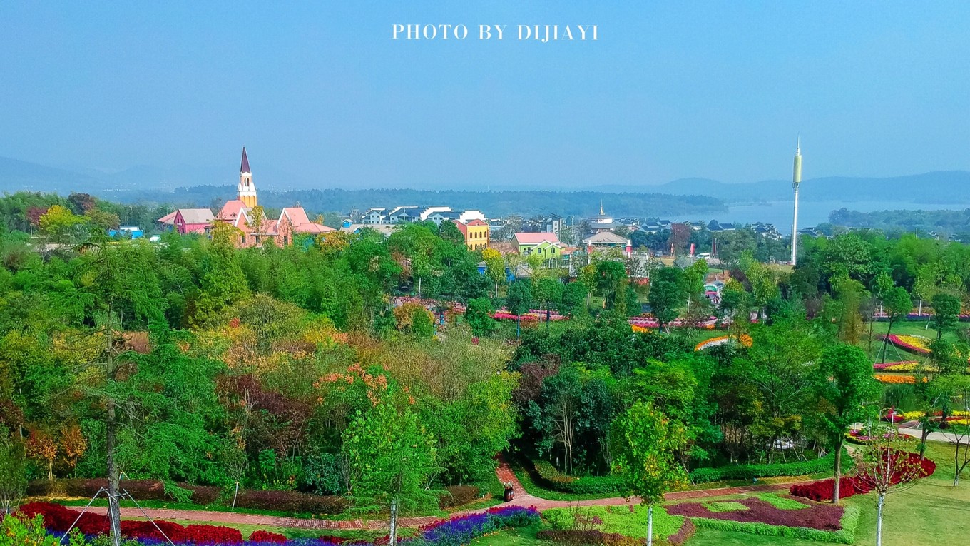 金坛花谷奇缘几月开花,金坛花谷奇缘地图