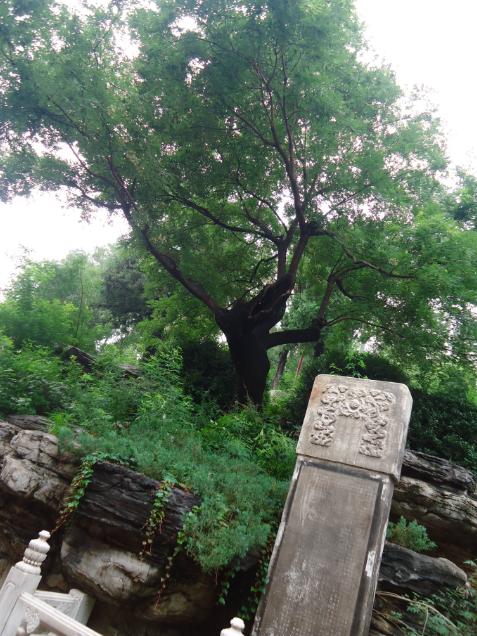 张传亮诗词潍坊,张传亮现代诗三首