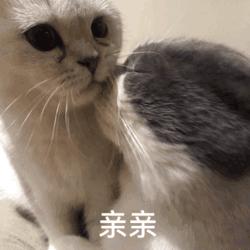 算了还是要上班系列表情包,一想到明天上班就想打个人表情包