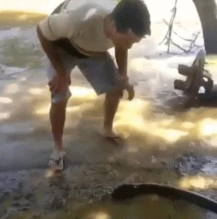 小伙玩了一下电鳗，直接口吐白沫倒下，我们该怎么和电鳗玩耍？