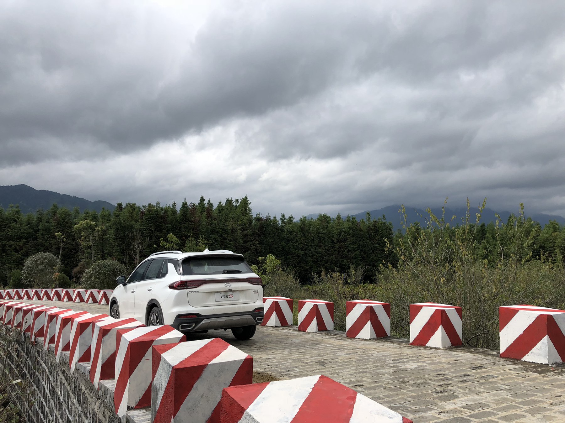 谁都说我们不一样现场版,很多人都说我们不一样抖音