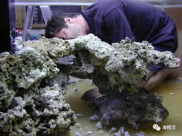 为什么容易爆藻,为什么有的人对鱼那么痴迷