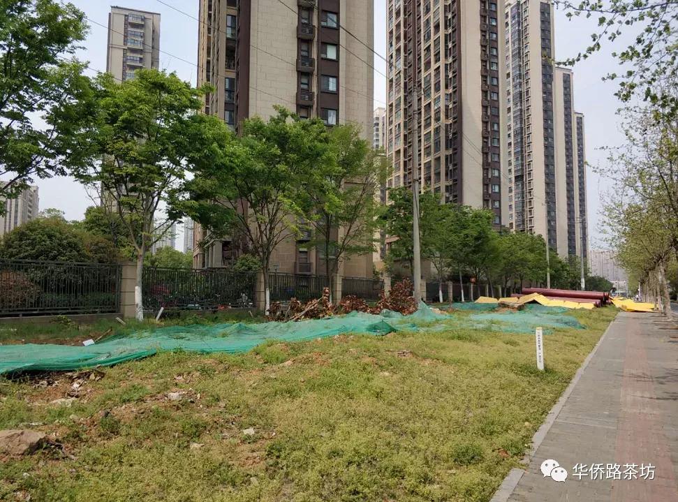 南京这几年大变化,南京有哪些新变化