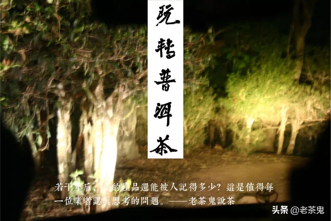 老鬼说茶玩转普洱茶,玩转普洱茶老茶鬼说茶