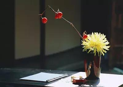 改变固然痛苦但是结果值得冒险,改变是痛苦的但也是快乐的