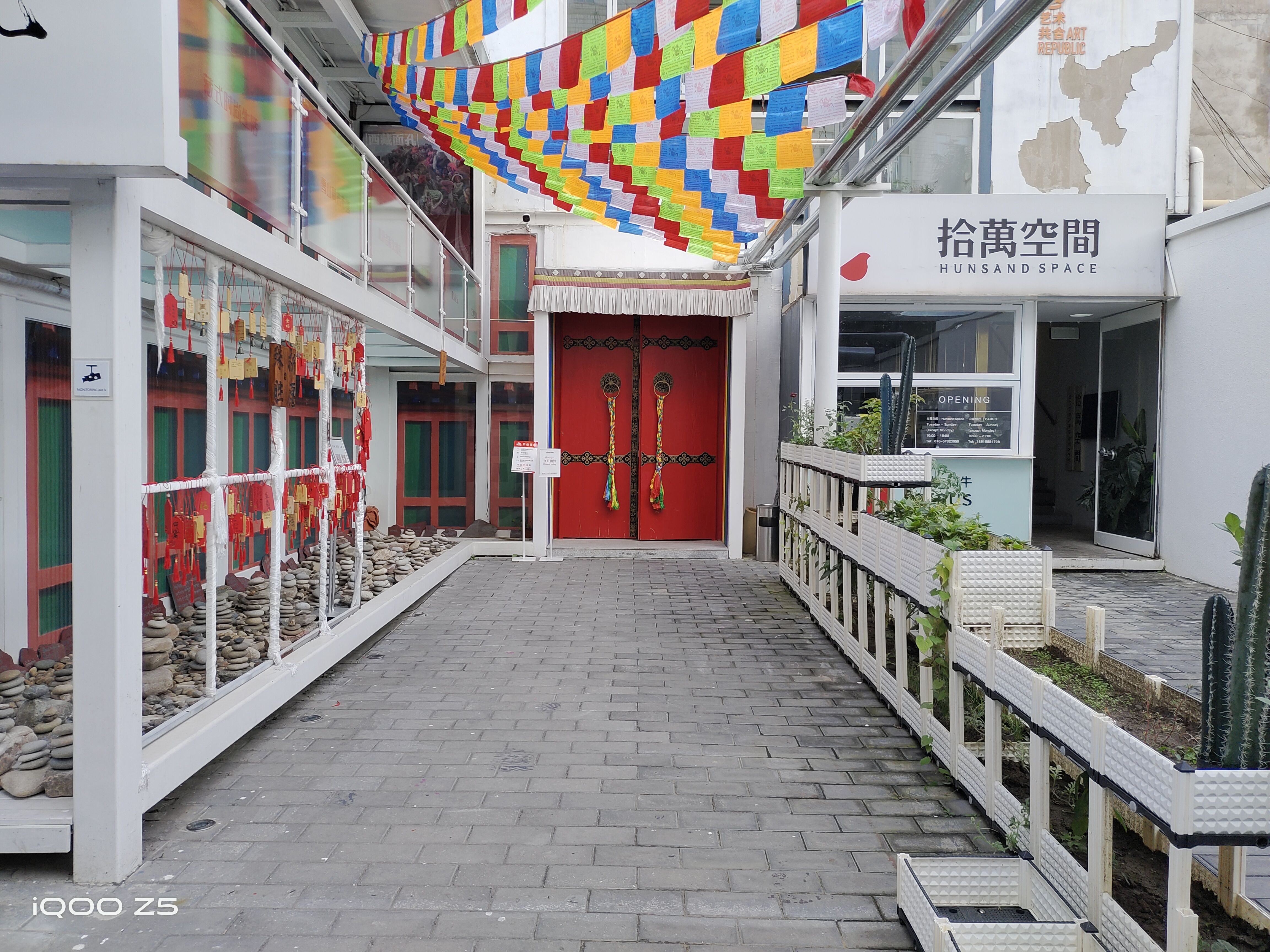 iqooz5评测拥有旗舰级满血性能,iqooz5全方面测评