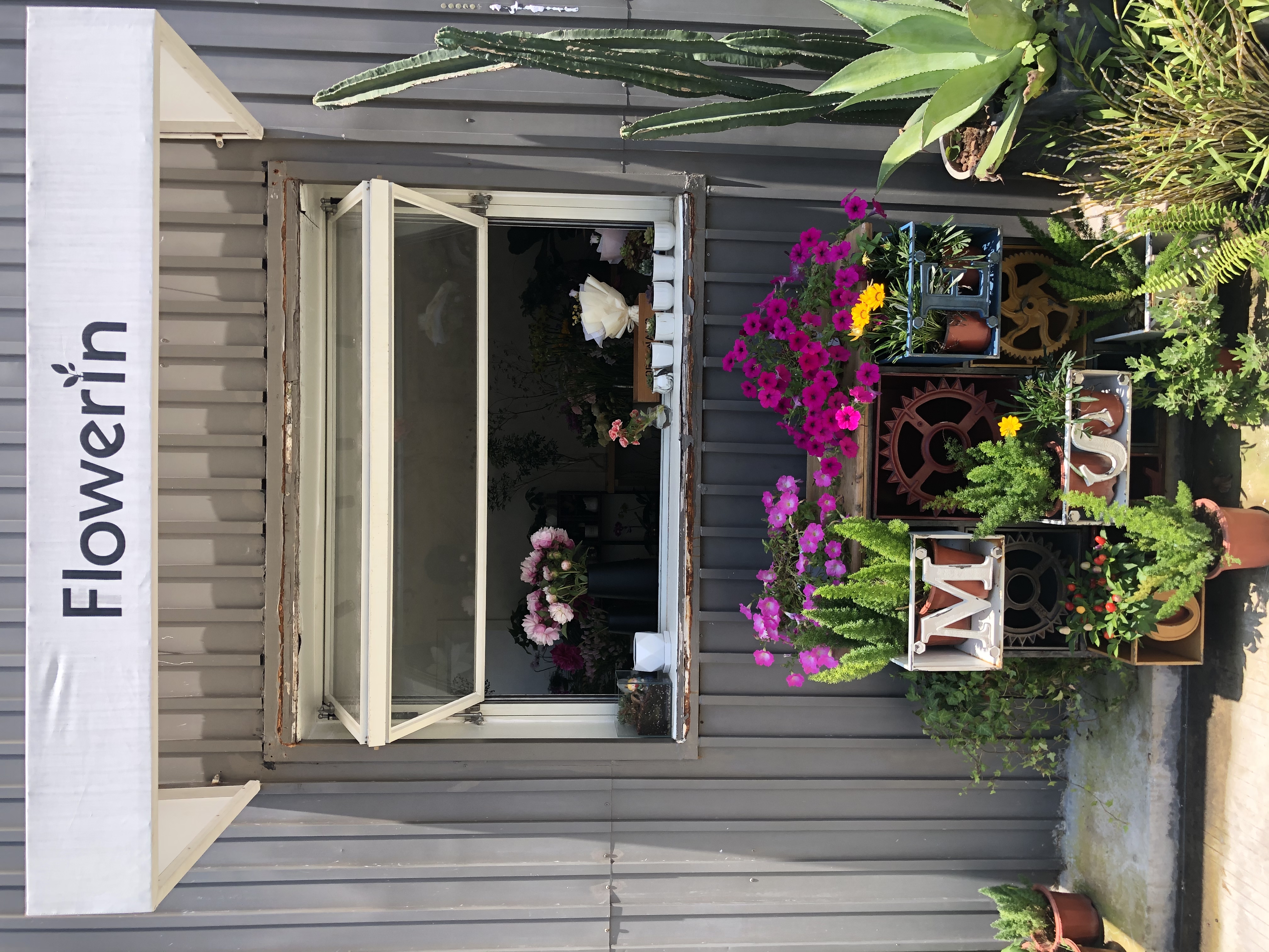 咖啡in深圳——浓意,NOVI,意浓