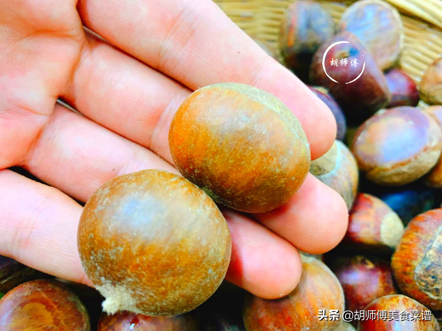 板栗剥皮快速小技巧,板栗怎么剥最快不用煮