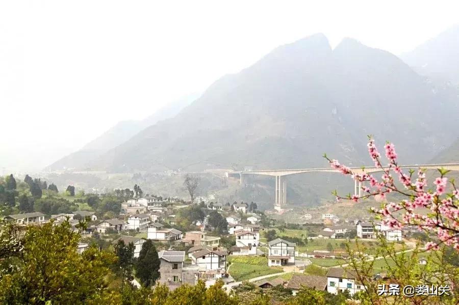 渝黔文苑|我和桃花有个约定