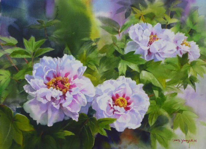 写实水彩花卉单体,细腻写实的花卉植物水彩手绘