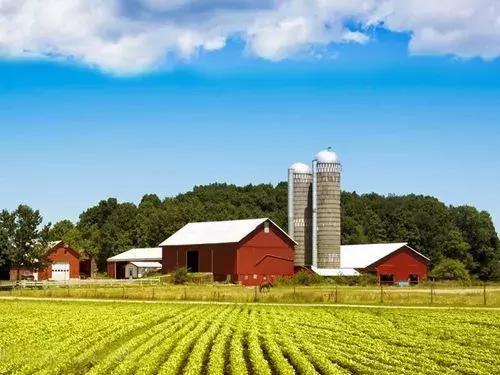可以致富的植物,可以发家致富的五种植物