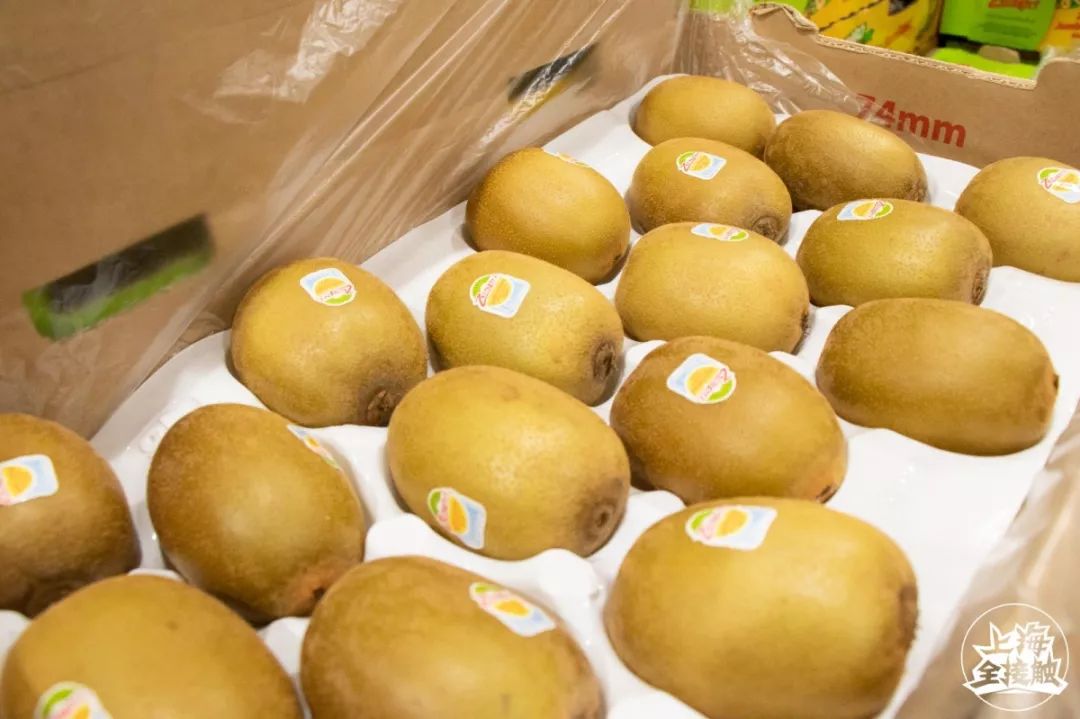 在上海怎么月入过万,在上海月入5000怎么活