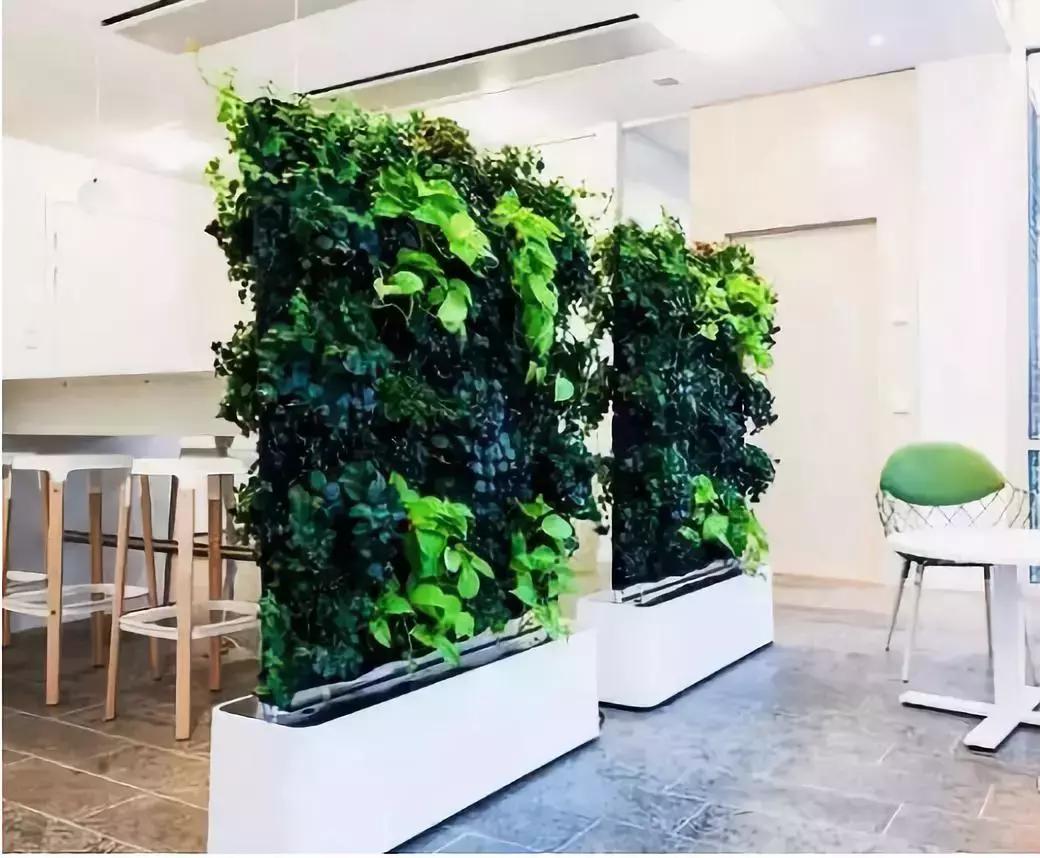 植物屏风隔断效果图,小型屏风
