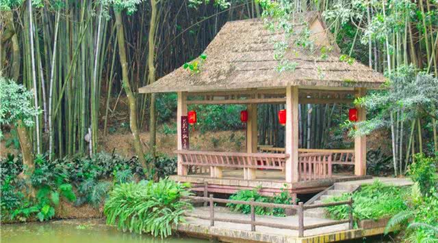 广东省内森林旅游景点,广东森林公园排行榜