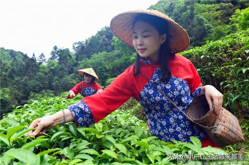 龙胜哪儿有好看的景区,广西的龙胜有什么好玩的