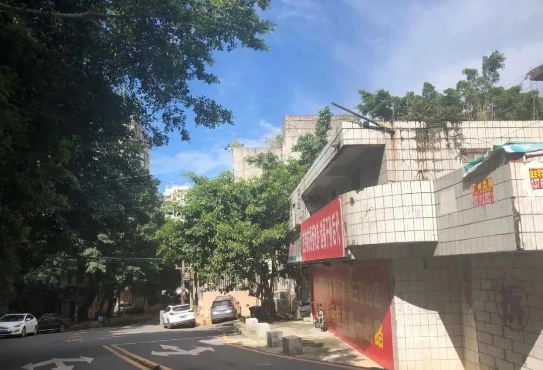 坂田重大规划33号线,坂田岗头地铁规划