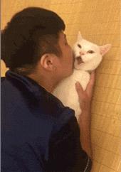 铲屎官请自重图,铲屎官请自重