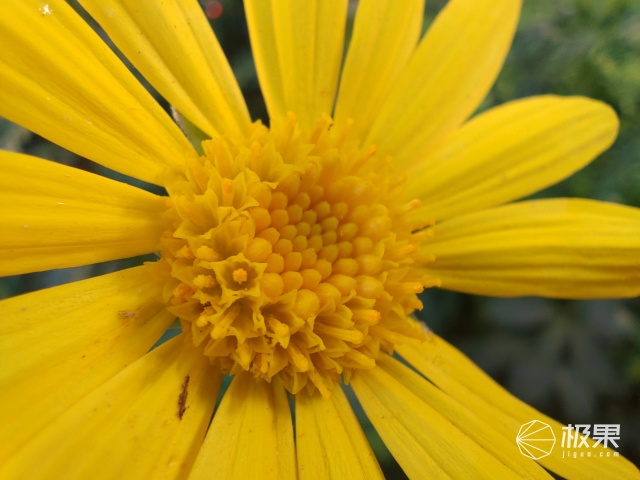 怎样把坚果pro3拍照发挥到极限,如何优化坚果pro3的拍照功能