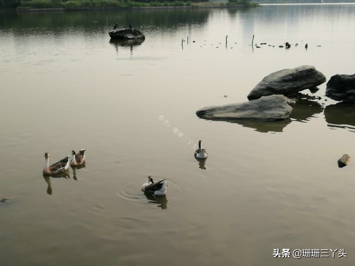 广州湿地公园推荐,广州龙潭河湿地公园