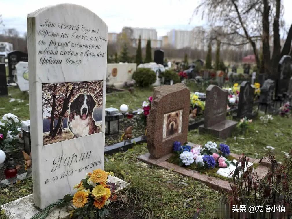 什么都可以拼的上海名媛，却拼不起这些“四脚吞金兽”