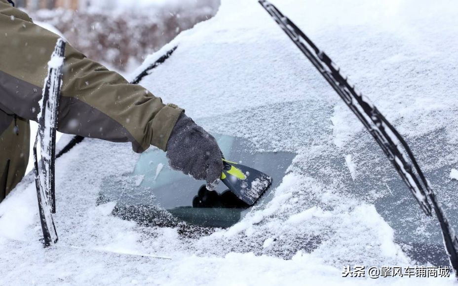 冬日猫咪保养指南,猫咪冬天开车需要检查什么