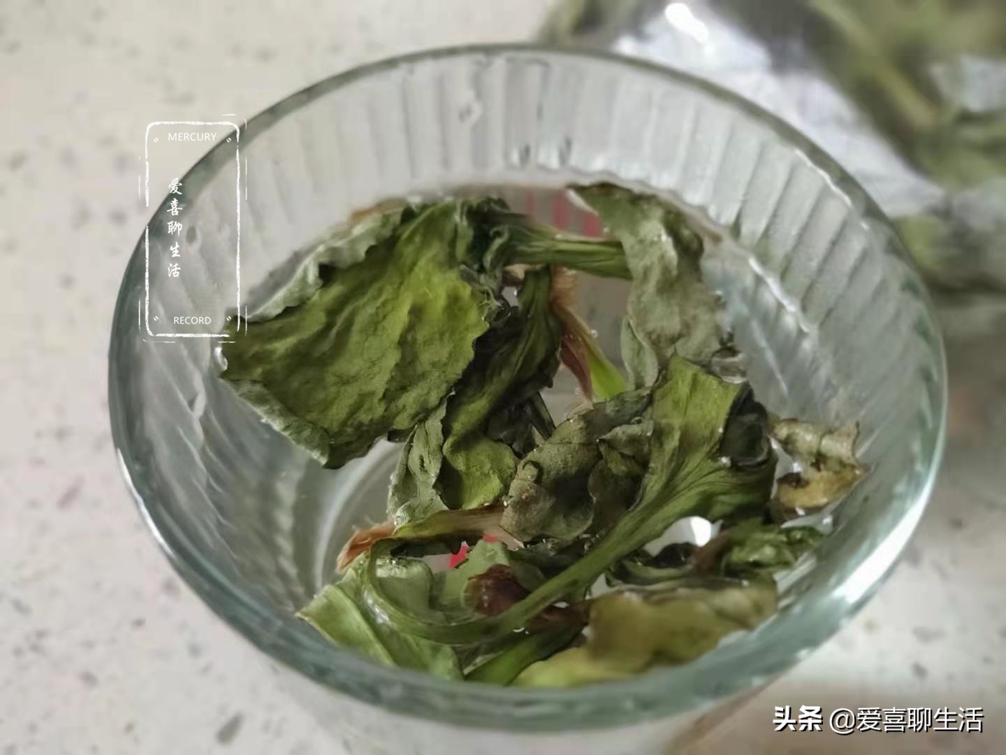 车前草新鲜,哪个季节的车前草泡水喝最好