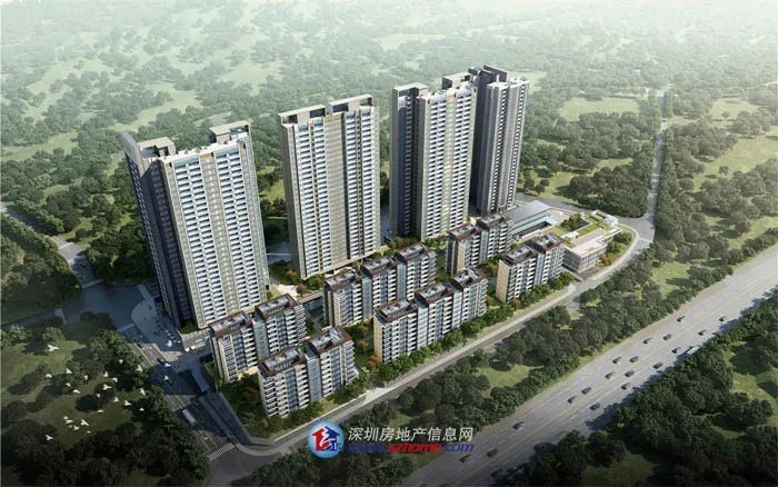 网红片区新楼盘,高端商住区旧改