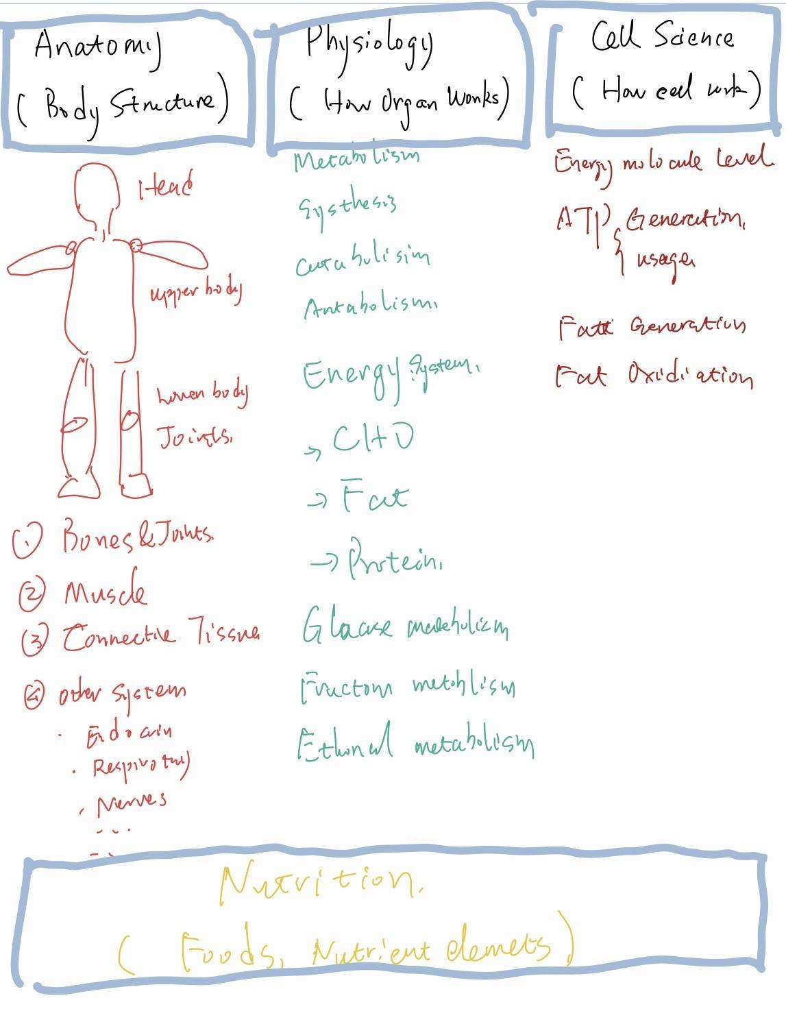 在哪里学习健身知识,系统学习健身